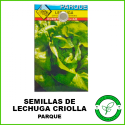 Semillas Lechuga Criolla...