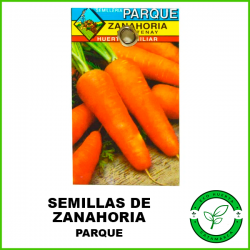 Semillas Zanahoria...