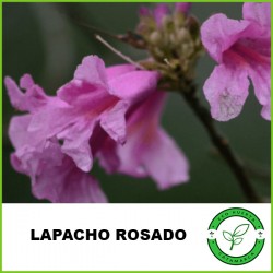 Lapacho Rosado
