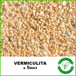 Vermiculita