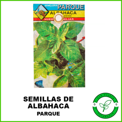 Semillas Albahaca Parque