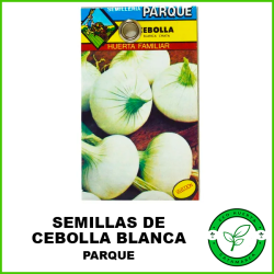 Semillas Cebolla Blanca Parque