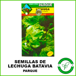 Semilla Lechuga Batavia...