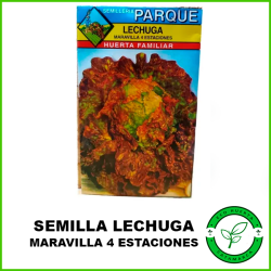 Semilla de Lechuga...